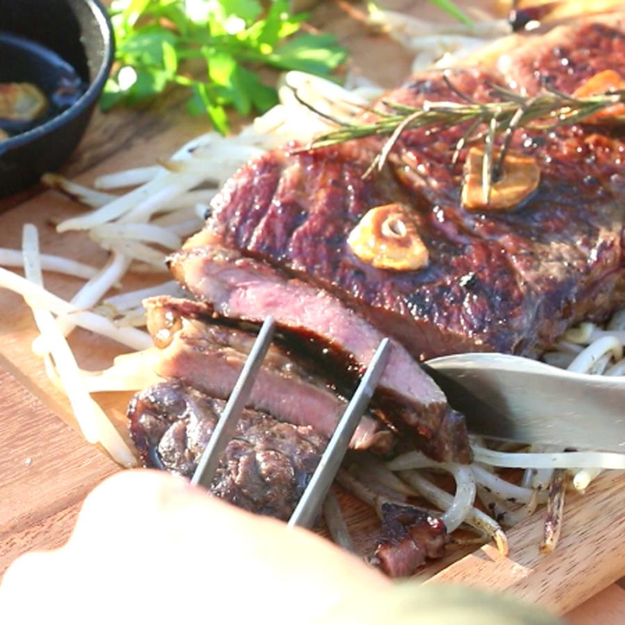 ZEOOR（ゼオール） ウェーバー バーベキューコンロ 57cm 対応 極厚