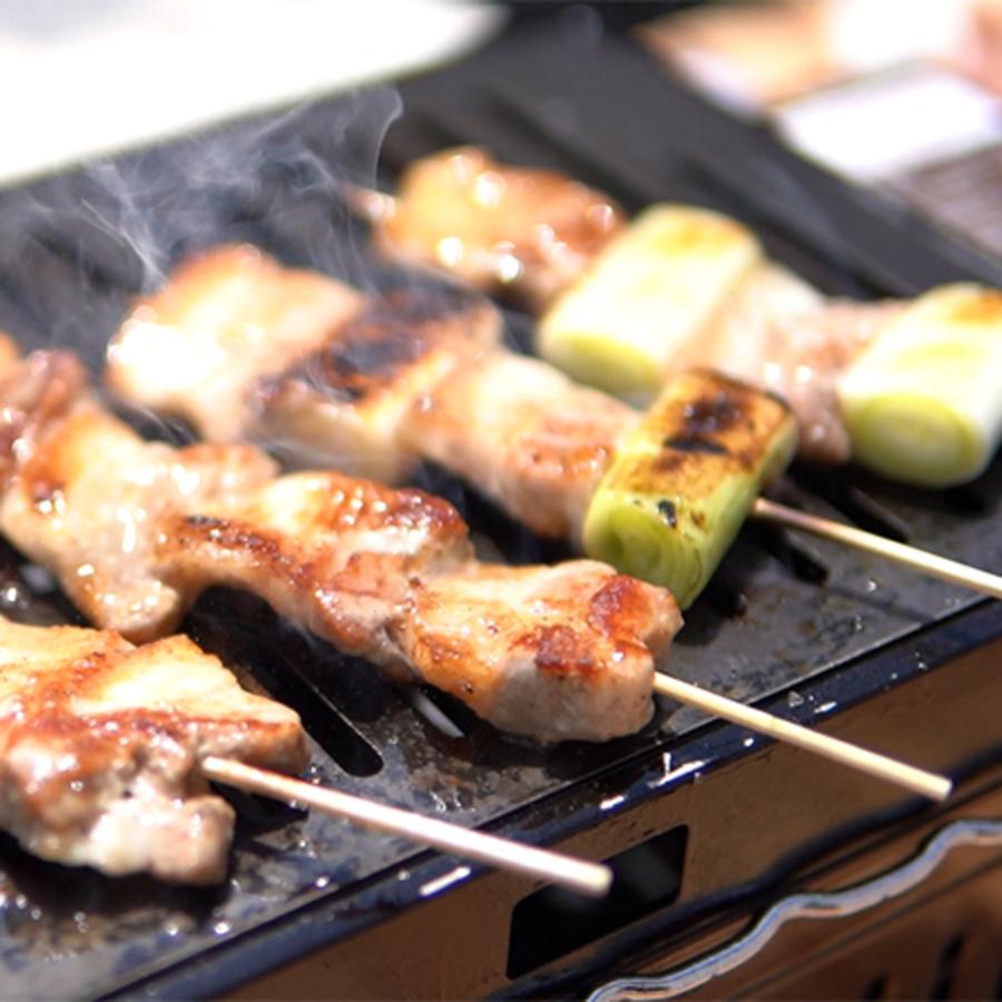 ZEOOR（ゼオール） ヤマキン ガス焼肉器 王者 対応 極厚鉄板 グリル