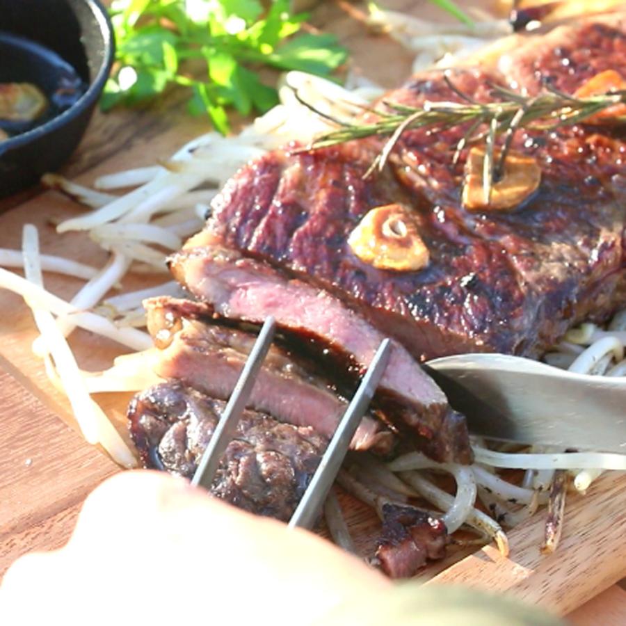 ZEOOR（ゼオール） ヤマキン ガス焼肉器 王者 対応 極厚鉄板 グリル