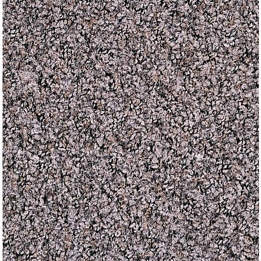 テラモト公式 玄関マット 屋内 除塵 耐久 高級感 60×90cm 汚れ 泥落とし 靴底 雨 室内 ドア 業務用 | テラモト | 05
