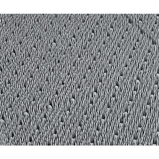 テラモト公式 玄関マット 屋外 ソフトな感触 土砂落とし用 90×120cm 除塵 汚れ 泥 靴底 室外 ドア 業務用 | テラモト | 02