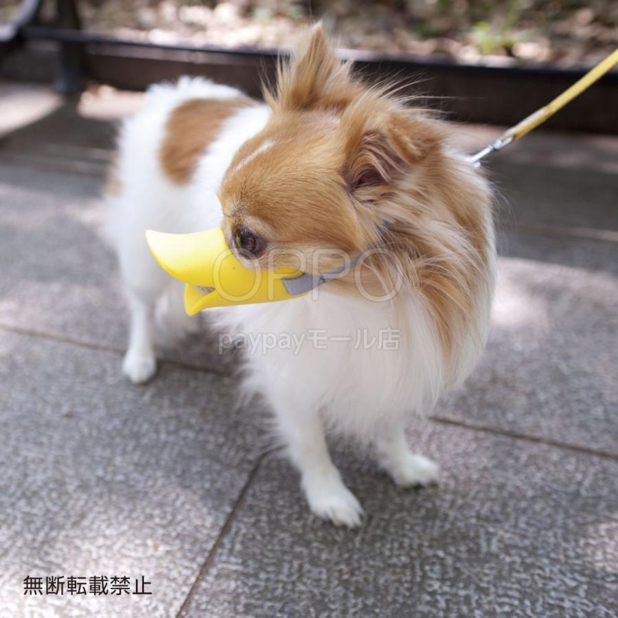85％以上節約 アヒルのくちばしが可愛い犬用口輪 Sサイズ 小型犬用 装着したまま水が飲める smaksangtimur-jkt.sch.id