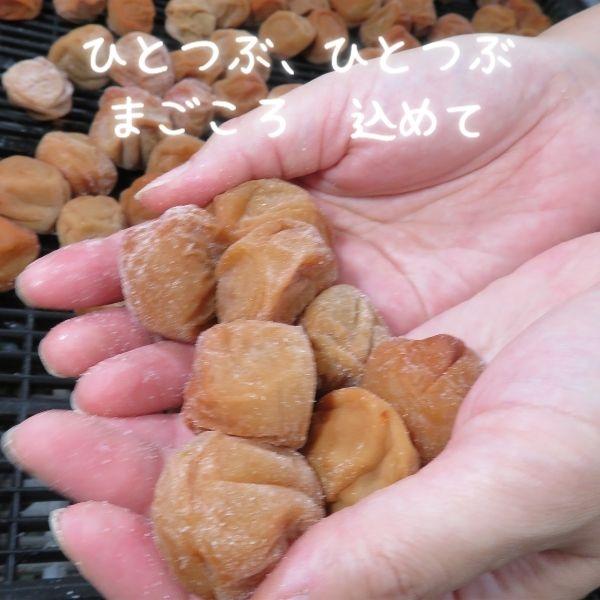 訳あり 梅干し 小梅はちみつ味 500g はちみつつぶれ梅 塩分8