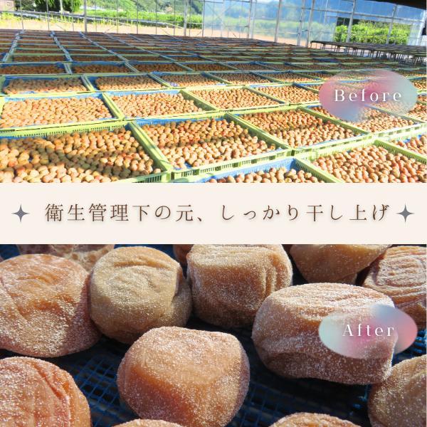 梅干し 訳あり 白干し 800g 塩分20% 紀州南高梅 和歌山県産 つぶれ梅