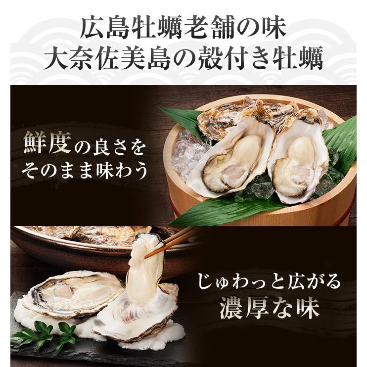 牡蠣 カンカン焼き 殻付き カキ 15個 生食OK 広島 生牡蠣 老舗の味  お取り寄せ｜teramotosuisan-kaki｜06