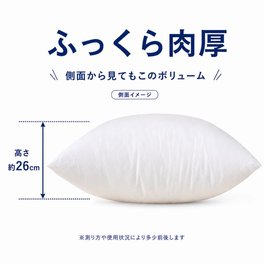 科布「クッション（パンヤ入り）」【 送料確認用出品 】 パンヤ ヌードクッション 55×55cm 大きい 中身 日本製 クッション