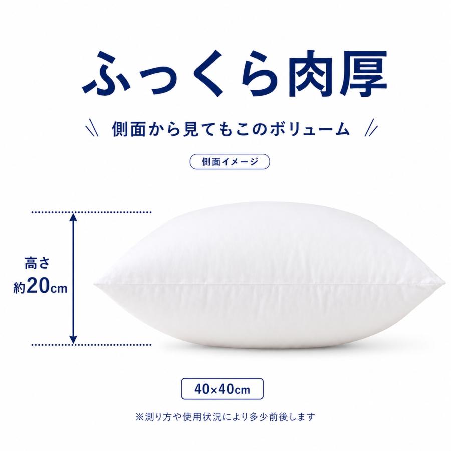 ヌードクッション 40×40cm 中身 日本製 背もたれ 椅子 腰当て ソファ