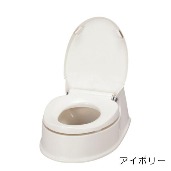 和式トイレを洋式に サニタリエースHG両用式 段差のある和式トイレ用 安寿 簡易洋式トイレ 534113/534114 リフォーム不要_1