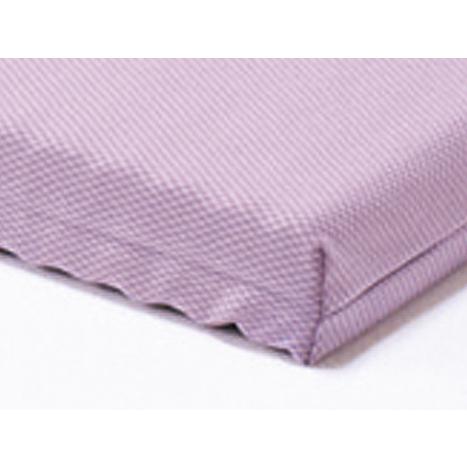 パラマウントベッド（PARAMOUNT BED） マットレス 介護 プレグラー