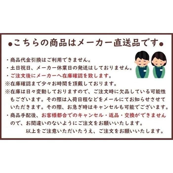 パラマウントベッド（PARAMOUNT BED） マットレス 介護 プレグラー