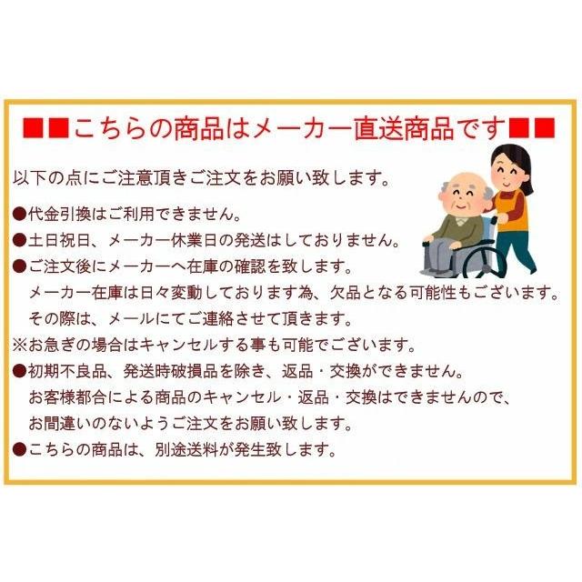 ノーパンクタイヤ ウェイビットプラスシリーズ WAVIT＋ WAP22-40(42)S 中床 ソフトタイヤ スイングアウト 跳ね上げ 多機能_4