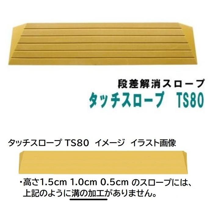 段差解消スロープ 段差0.5cm/幅80cm シンエイテクノ タッチスロープ TS80-05｜terasuke