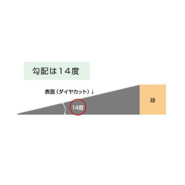 段差解消リフォーム シンエイテクノ ダイヤスロープ FRP DSF70-105・110 幅70cm/段差10.5〜11.0cm用 シンエイテクノ |  | 02