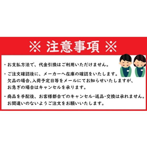 オゾン 脱臭 除菌 エース産業 オゾフレッシュG500 オフタイマー オゾンを空気中に散布 OG46GT-K |  | 02