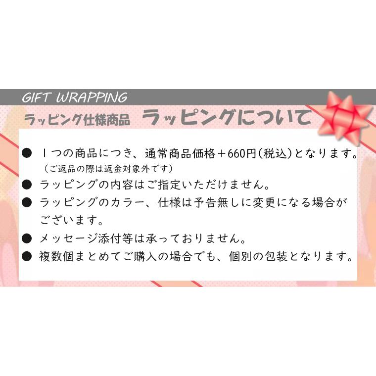 ご確認用 介護シューズ あゆみ ダブルマジックIII 施設・院内用 黒 L 23.0