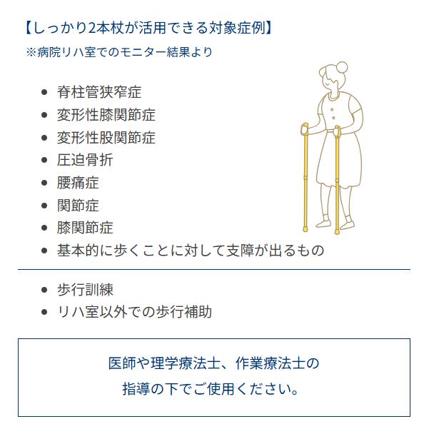 送料無料】ポールウォーキング シナノ しっかり2本杖 自立歩行が難しい