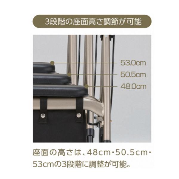 歩行車 アルコーステラトレイ付 新発売 星光医療器製作所 屋外用