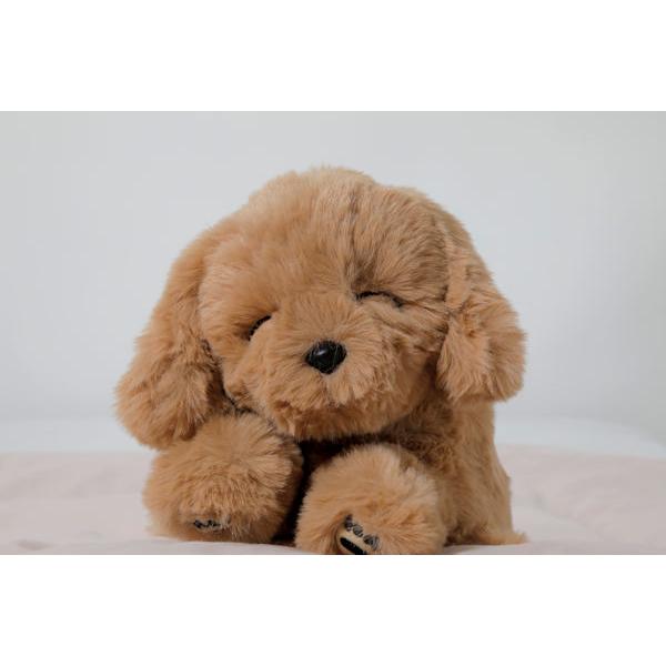 Relapy リラピー　睡眠導入　ゴールデンレトリバー 即納 正規販売店 Relapy（リラピー）犬 ゴールデンレトリバー 群馬電機