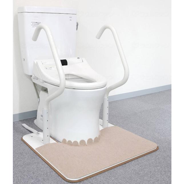 トイレ手すり、洋式 6ヶ月使用 トイレ手すり 洋式トイレ用 手すり 洋式トイレアーム 左右両側 トイレ