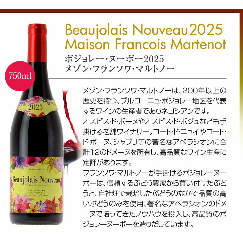 ボジョレー ヌーボー ボジョレーヌーボー【赤 2本セット】ボジョレー