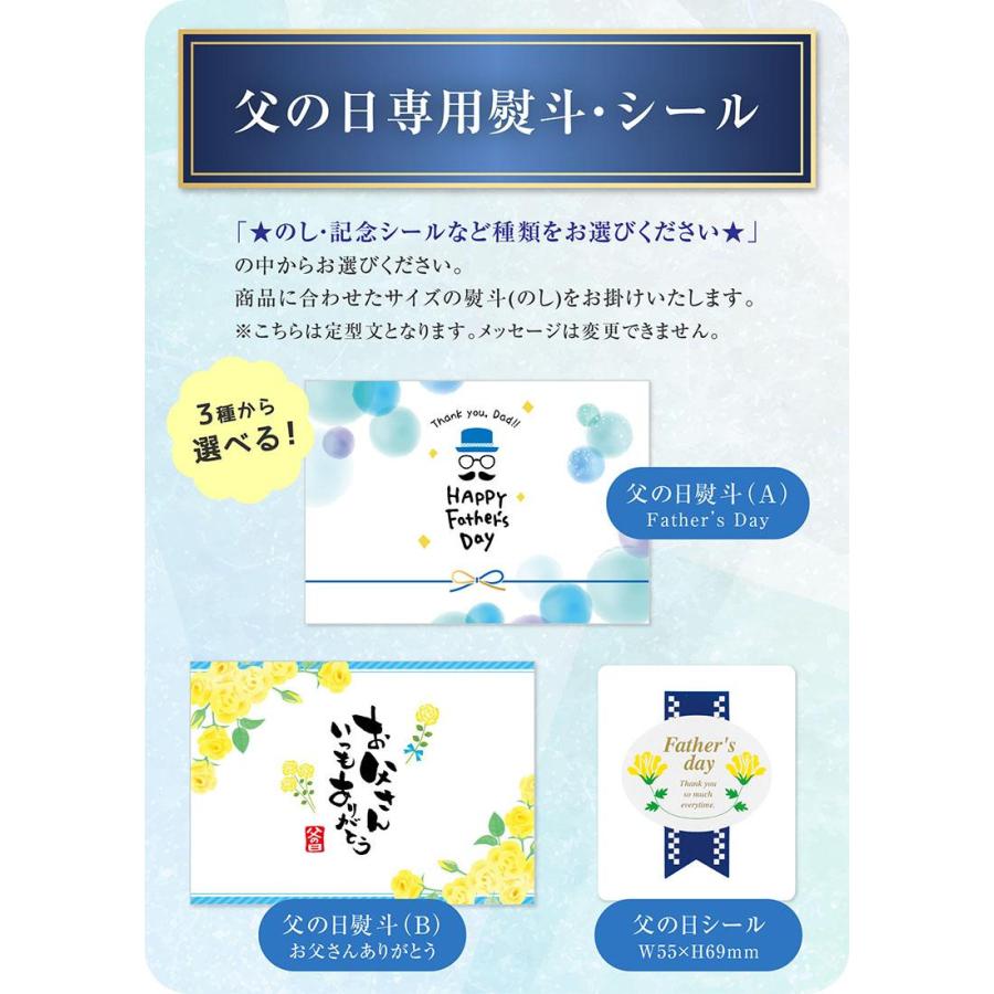 ビール ギフト 父の日 誕生日 内祝 YE5DTL エビスビール誕生130年