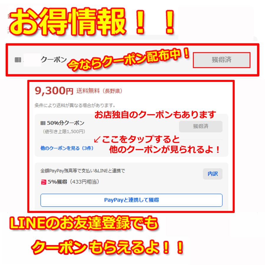 銀座まるかん すっぴんパワーシャンプーNo.19　2個セット　送料無料 | 銀座まるかん | 01