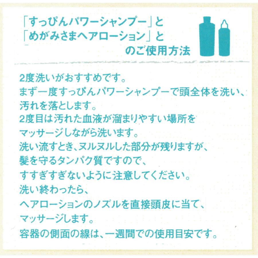 銀座まるかん すっぴんパワーシャンプーNo.19　2個セット　送料無料 | 銀座まるかん | 03