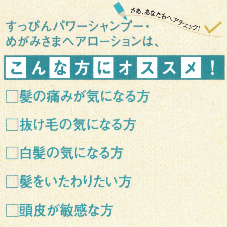 銀座まるかん すっぴんパワーシャンプーNo.19　2個セット　送料無料 | 銀座まるかん | 04