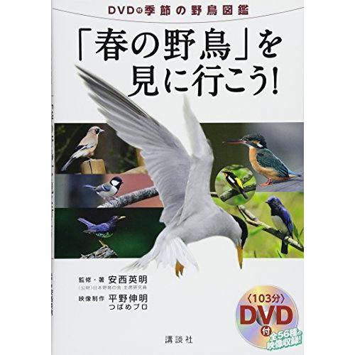Dvd付季節の野鳥図鑑 春の野鳥 を見に行こう 中古車情報 Beta Empoweringyoga Co Uk
