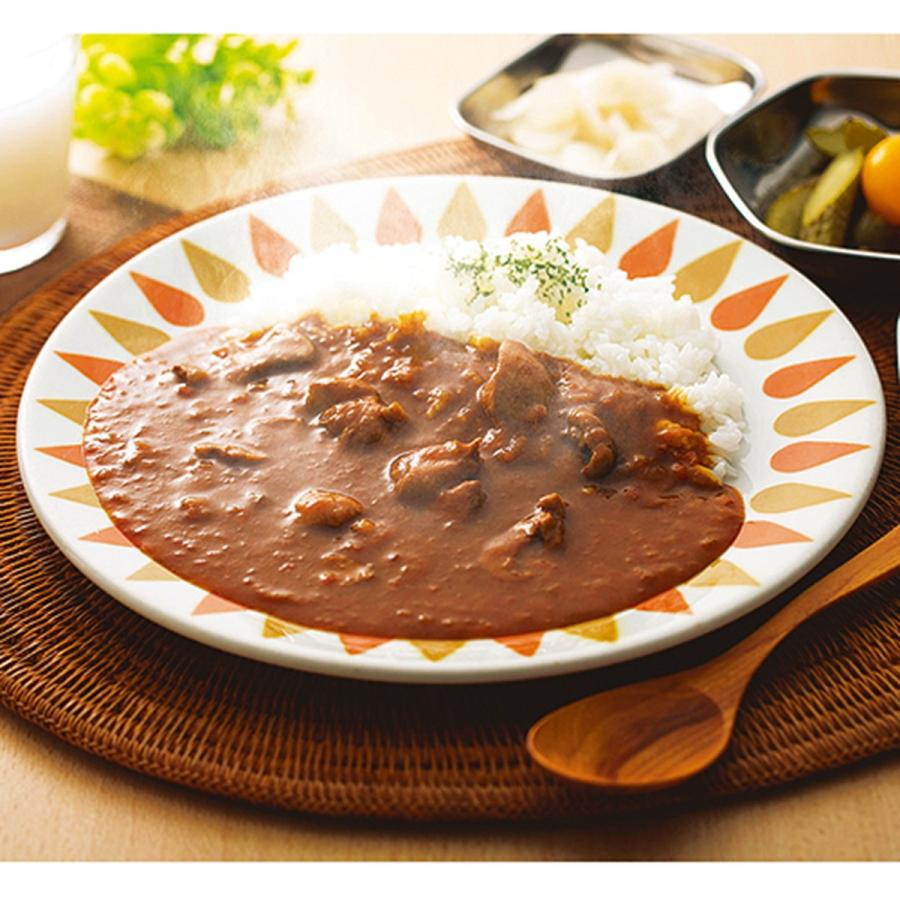 レトルトカレー トヨタ 博物館 カレー CHICKEN CURRY (チキンカレー) 200g｜terrace-carfan｜03