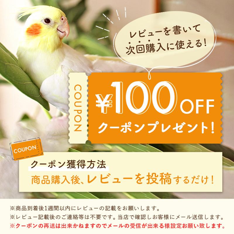 100円クーポンプレゼント ANIF 鳥の餌 鳥さんのごはん 獣医推薦 100円クーポンプレゼント ANIF 鳥の餌 鳥さんのごはん 獣医推薦