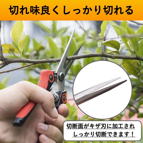 収穫バサミ 収穫ばさみ 収穫はさみ 収穫ハサミ 剪定ばさみ 収穫鋏 摘果 盆栽 芽切り はさみ ハサミ 庭 ガーデン 園芸 |  | 03