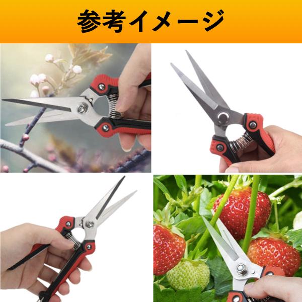 収穫バサミ 収穫ばさみ 収穫はさみ 収穫ハサミ 剪定ばさみ 収穫鋏 摘果 盆栽 芽切り はさみ ハサミ 庭 ガーデン 園芸 |  | 07