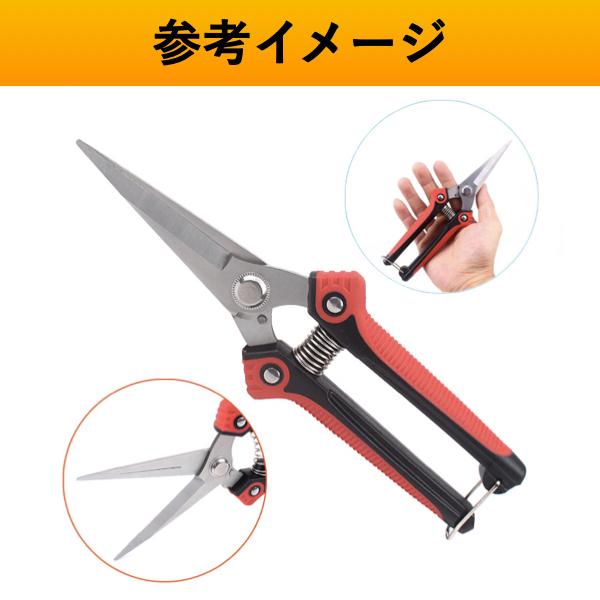 収穫バサミ 収穫ばさみ 収穫はさみ 収穫ハサミ 剪定ばさみ 収穫鋏 摘果 盆栽 芽切り はさみ ハサミ 庭 ガーデン 園芸 |  | 08