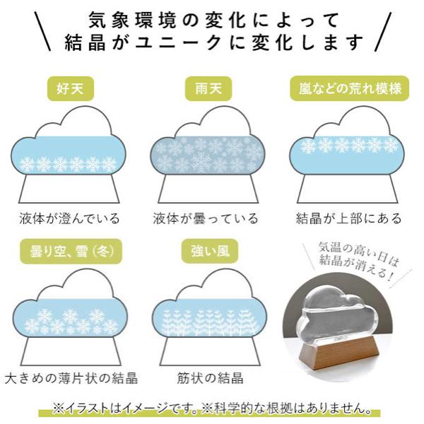 ストームグラス クラウド 雲 おしゃれ 温度計 ガラス 気象計 天気 サイエンス 結晶 置物 オブジェ Cim 099 テラスサイド Yahoo 店 通販 Yahoo ショッピング