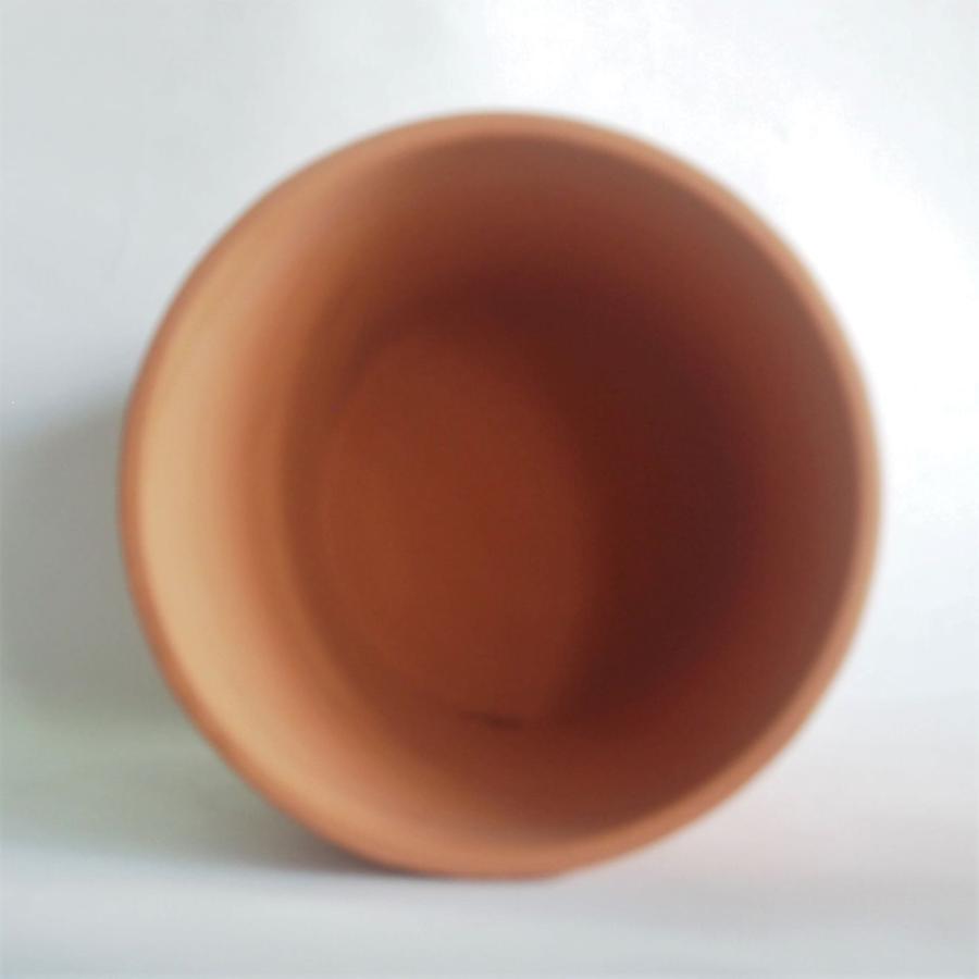 テラコッタ クラッシックプランターバラ 6号 植木鉢 園芸用品 日本製