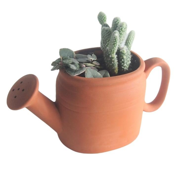 植木鉢 おしゃれ ジョーロ プランター 小さい テラコッタ 日本製 かわいい Fp0005 Terraco Yahoo ショップ 通販 Yahoo ショッピング