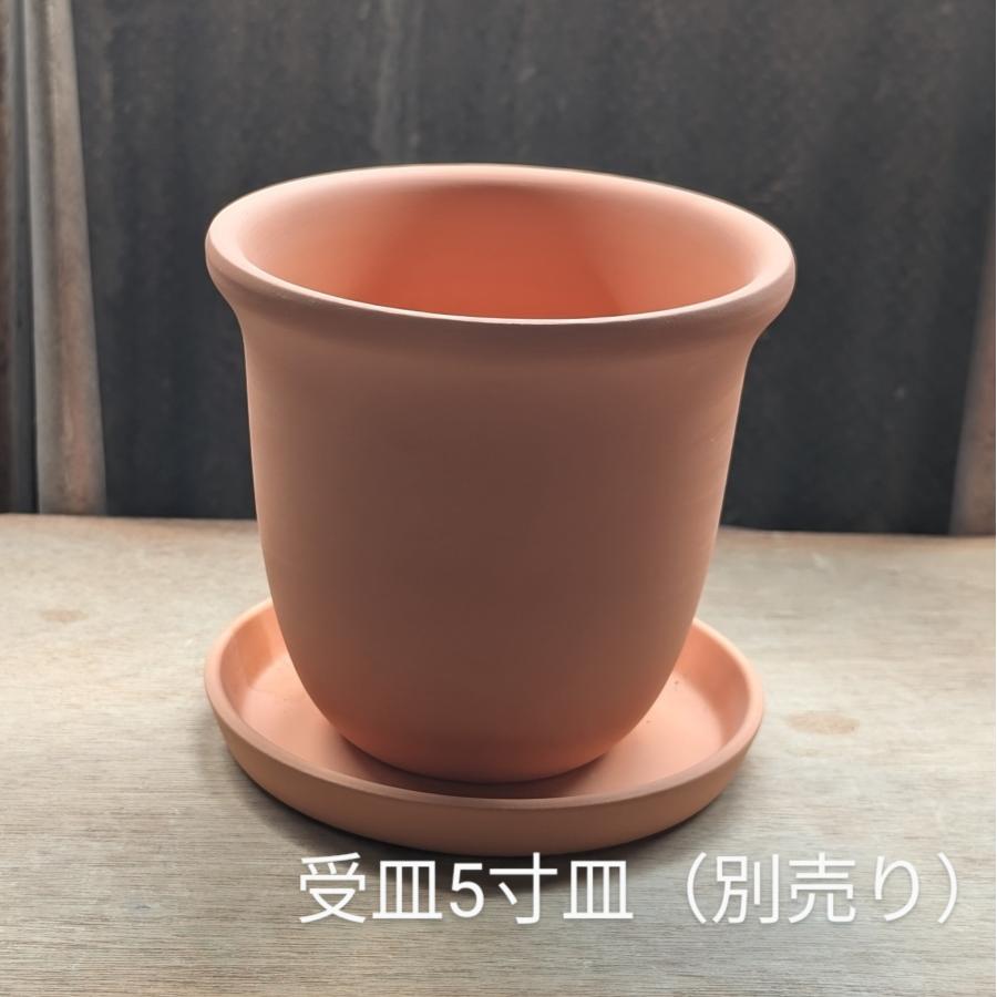 ベル5号フラット テラコッタ鉢 植木鉢 プランター 園芸用品 日本製