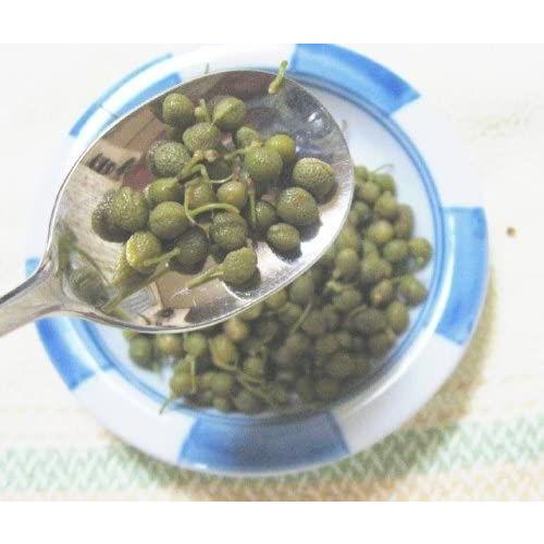 Seal限定商品 佃煮 青実山椒 500g 002 Terramonostore 通販 Yahoo ショッピング 即納 最大半額 Blog Lonolife Com