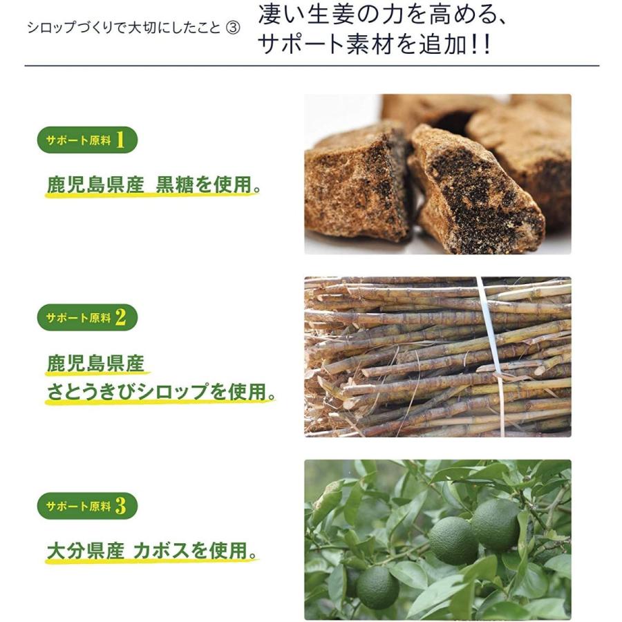 大注目 九州アスリート食品 長崎県産 生姜シロップ ジンジャーシロップ 国産 3本 20210323164611 00576 Terramonostore 通販 Yahoo ショッピング 全商品オープニング価格特別価格 Www Wmcmuaythai Org