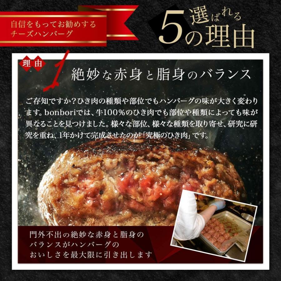 bonbori ( ぼんぼり ) 究極のひき肉で作る 牛100% ハンバーグ 200g (4個入り(ソース付き))|terramono|08