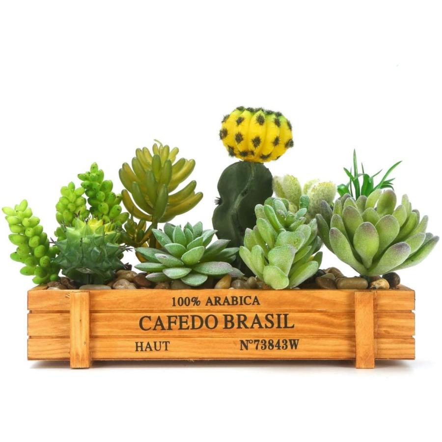 激安の Energypower フェイクグリーン 人工多肉植物 サボテン9種類寄せ植え ウッドボックスセット おしゃれ盆栽 水やり不要 枯れないイミ 第1位獲得 Altammamfactory Com Jo