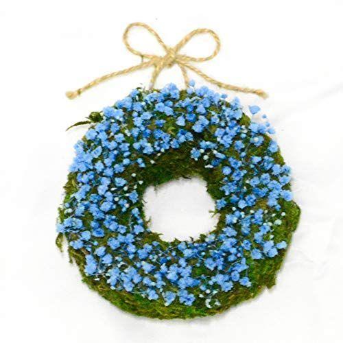 注目ブランド Lulu S ルルズ かすみ草ミニリース ブルー プリザーブドフラワー ドライフラワー ナチュラルリース サイズ 直径約10cm 奥行約7c Terramonostore 通販 Yahoo ショッピング 最適な材料 Jeannesauve Org