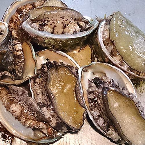 魚水島 新潟産 天然 活アワビ あわび 1kg 訳あり 最安値