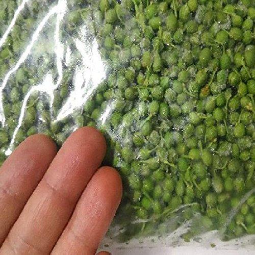 魅力的な価格 21年 新物生冷凍 和歌山県産 実山椒 1kg さんしょう サンショウ 山椒の実 生山椒 Roadmapforth Org