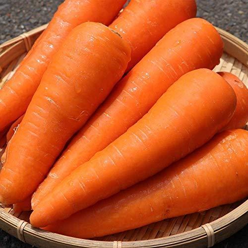 在庫一掃 有機jasにんじん 10kg 国産 ジュース用人参 無農薬 無化学肥料栽培 Wantannas Go Id