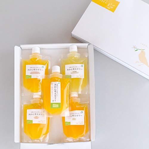 ミヤモトオレンジガーデン みかん 寒天ゼリー 詰め合わせ ギフトセット 化粧箱 お取り寄せ 人気 百貨店 ゲル ゼリー Vest Doctum Edu Br