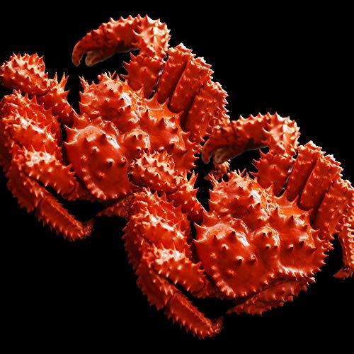 新品本物 北国からの贈り物 蟹 ハサミ 花咲ガニ 姿 400g 2尾 ボイル 約2 3人前 カニ はさみ 北国からの贈り物 カニ Www Rankinengineering Com