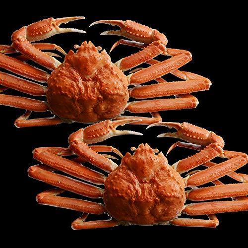 オンライン再販業者 カニ ボイル かに 蟹 ズワイガニ 姿 500g 2尾 約3 4人前 ハサミ 北国からの贈り物 直販正本 Superiorrealtyofalabama Com