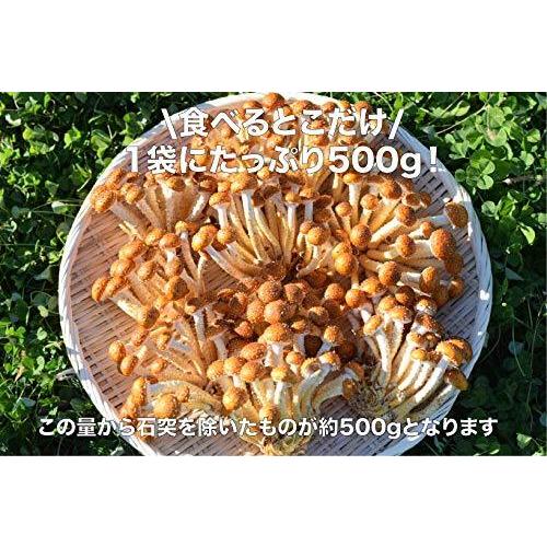 国産冷凍きのこ ４種類から選べる３パックセット エリンギ ２ しめじ １ 冷凍野菜 Kitchenworksla Com